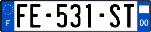 FE-531-ST