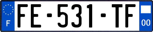FE-531-TF