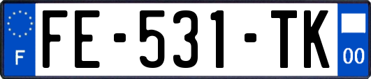 FE-531-TK