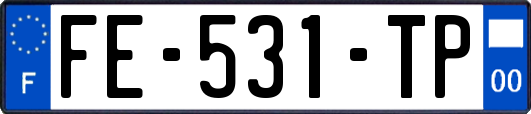 FE-531-TP
