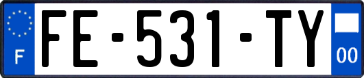 FE-531-TY