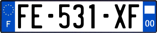 FE-531-XF