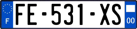 FE-531-XS