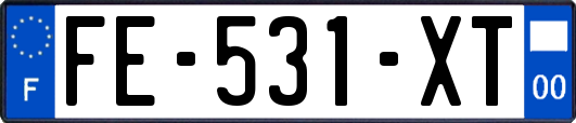 FE-531-XT