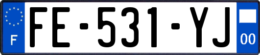 FE-531-YJ