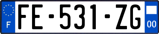 FE-531-ZG