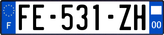 FE-531-ZH