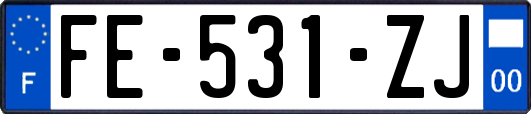 FE-531-ZJ