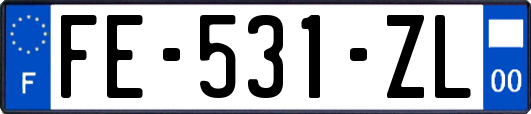 FE-531-ZL