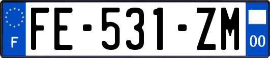 FE-531-ZM