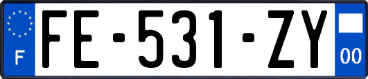 FE-531-ZY