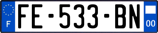 FE-533-BN