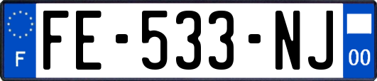 FE-533-NJ