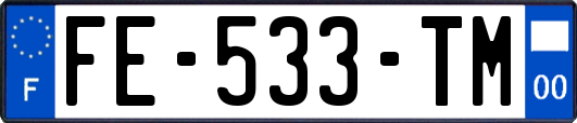 FE-533-TM