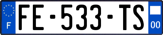 FE-533-TS