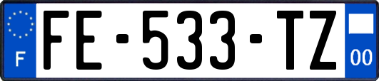 FE-533-TZ