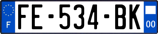 FE-534-BK
