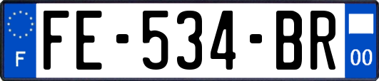 FE-534-BR