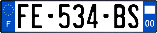 FE-534-BS