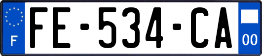 FE-534-CA