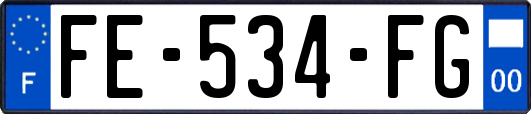 FE-534-FG