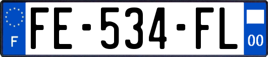 FE-534-FL