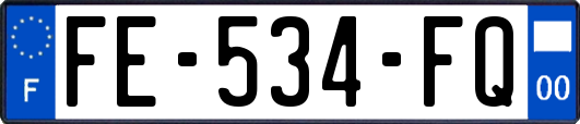 FE-534-FQ