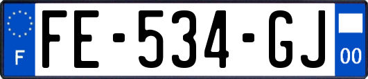 FE-534-GJ