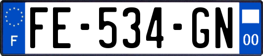 FE-534-GN