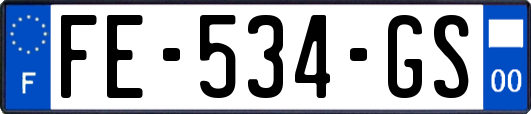 FE-534-GS