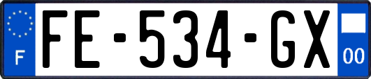 FE-534-GX