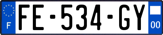 FE-534-GY