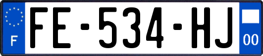 FE-534-HJ
