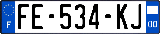 FE-534-KJ