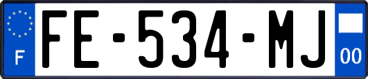 FE-534-MJ