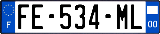 FE-534-ML