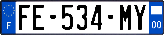FE-534-MY