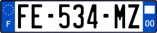 FE-534-MZ