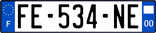 FE-534-NE