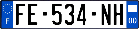 FE-534-NH