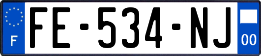 FE-534-NJ