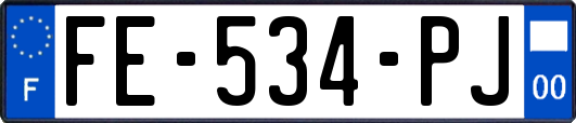 FE-534-PJ