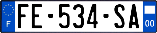 FE-534-SA