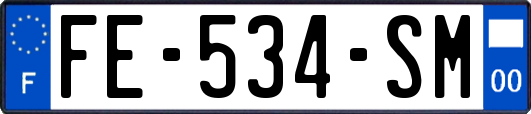 FE-534-SM