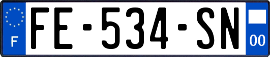 FE-534-SN