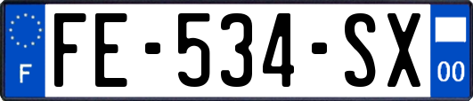 FE-534-SX