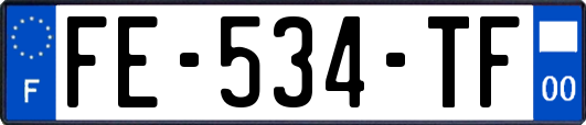 FE-534-TF