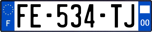 FE-534-TJ