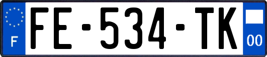 FE-534-TK
