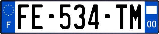 FE-534-TM